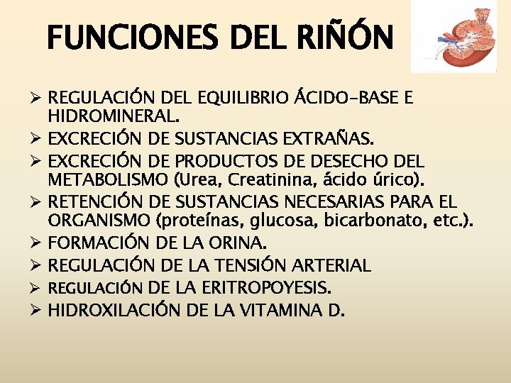 FUNCIONES DEL RIÑÓN Ø REGULACIÓN DEL EQUILIBRIO ÁCIDO-BASE E HIDROMINERAL. Ø EXCRECIÓN DE SUSTANCIAS