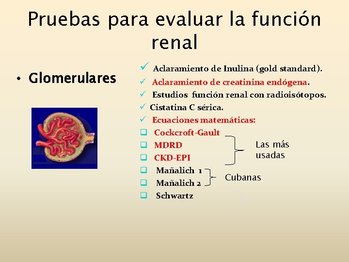 Pruebas para evaluar la función renal • Glomerulares ü Aclaramiento de Inulina (gold standard).