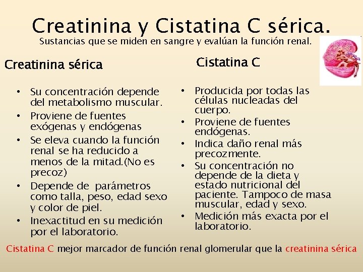 Creatinina y Cistatina C sérica. Sustancias que se miden en sangre y evalúan la