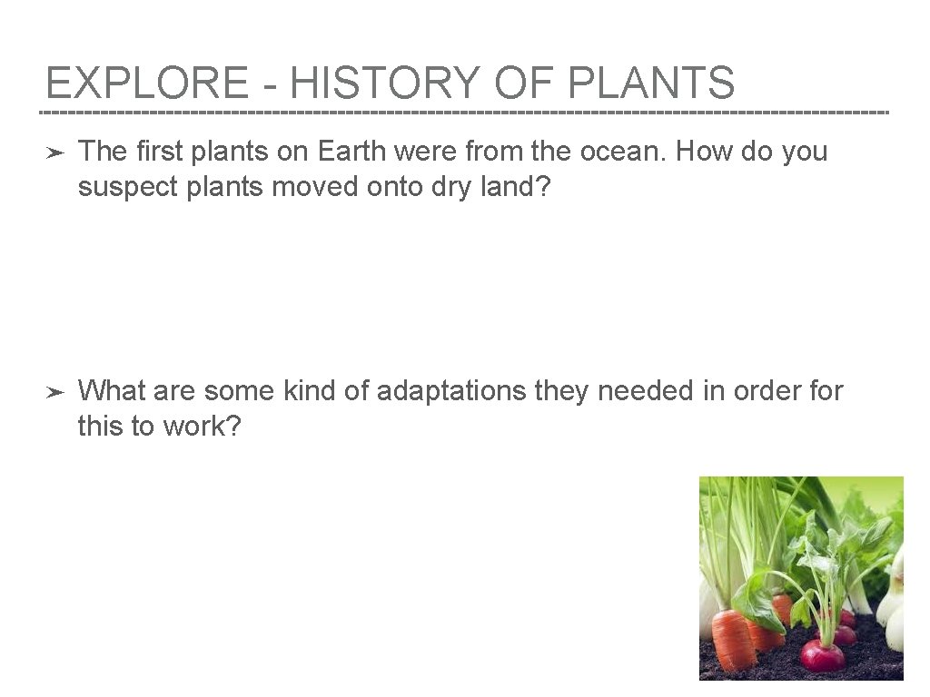 EXPLORE - HISTORY OF PLANTS ➤ The first plants on Earth were from the