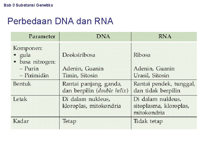 Bab 3 Substansi Genetika Perbedaan DNA dan RNA 