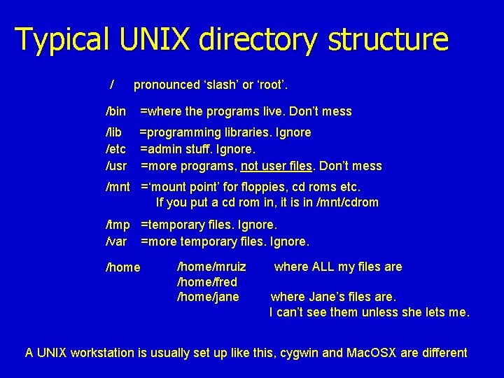 Typical UNIX directory structure / /bin pronounced ‘slash’ or ‘root’. =where the programs live. Typical UNIX directory structure / /bin pronounced ‘slash’ or ‘root’. =where the programs live.