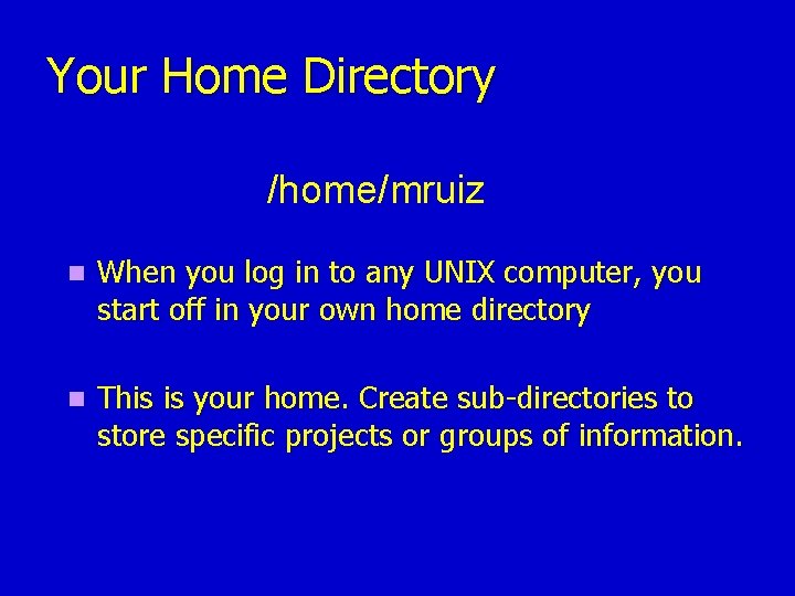 Your Home Directory /home/mruiz n When you log in to any UNIX computer, you Your Home Directory /home/mruiz n When you log in to any UNIX computer, you