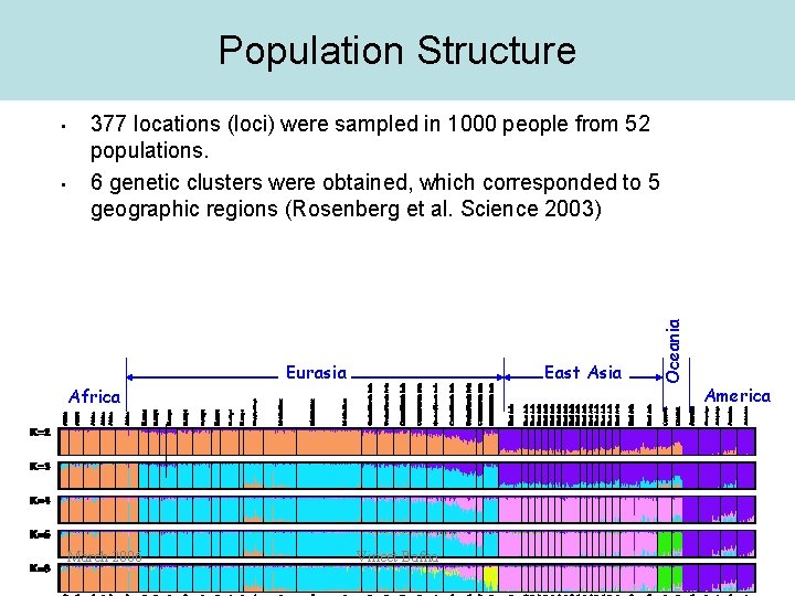 Population Structure • 377 locations (loci) were sampled in 1000 people from 52 populations.