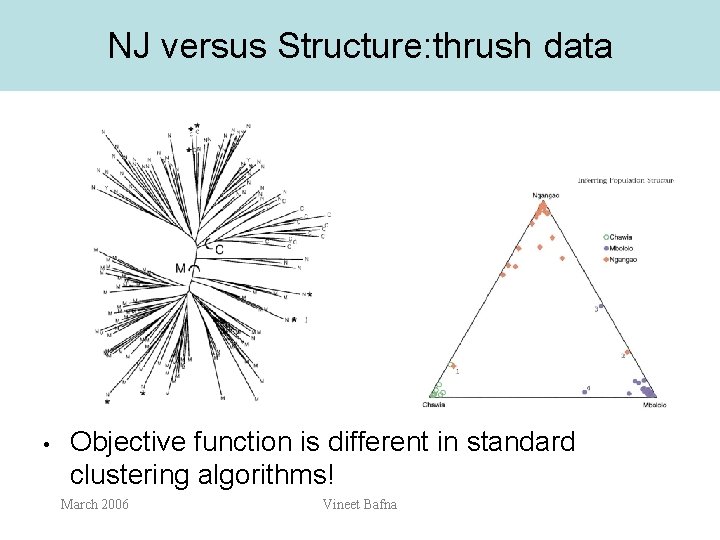 NJ versus Structure: thrush data • Objective function is different in standard clustering algorithms!