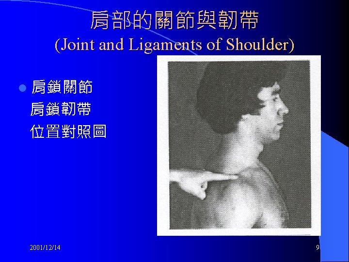 肩部的關節與韌帶 (Joint and Ligaments of Shoulder) l 肩鎖關節 肩鎖韌帶 位置對照圖 2001/12/14 9 
