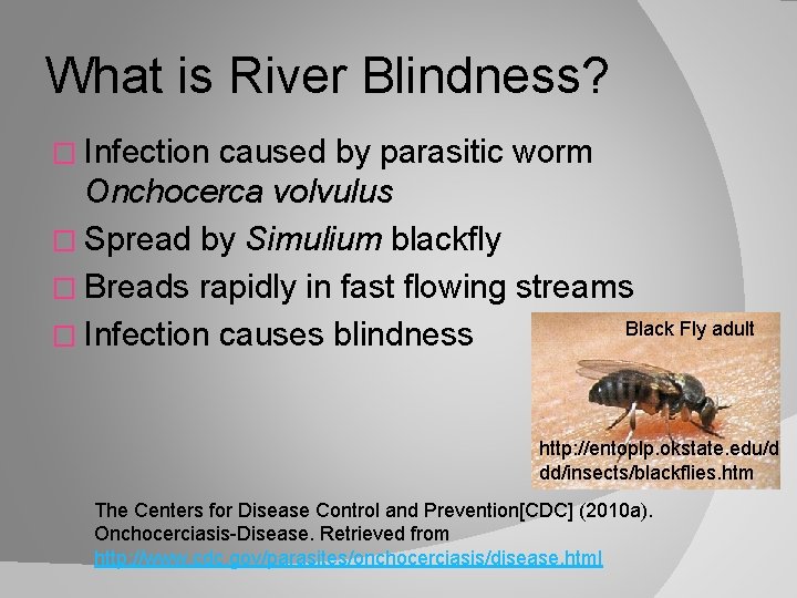 What is River Blindness? � Infection caused by parasitic worm Onchocerca volvulus � Spread