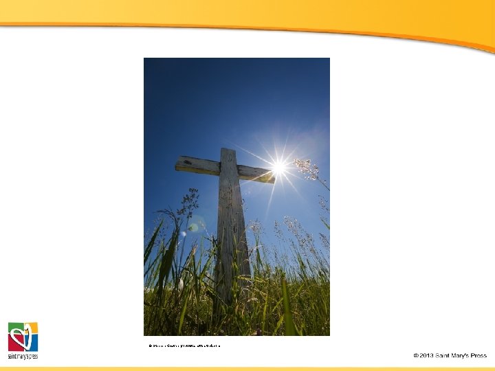 © Stephen Mcsweeny / www. shutterstock. com 