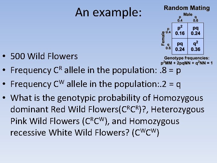 An example: • • 500 Wild Flowers Frequency CR allele in the population: .