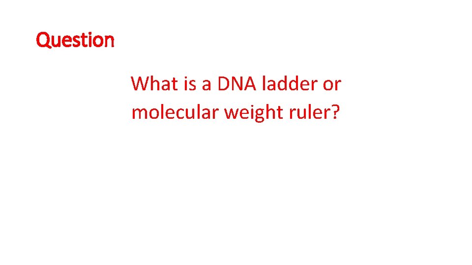 Question What is a DNA ladder or molecular weight ruler? 