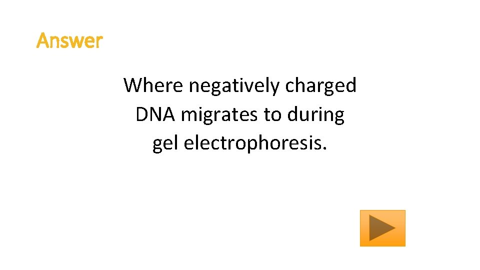 Answer Where negatively charged DNA migrates to during gel electrophoresis. 