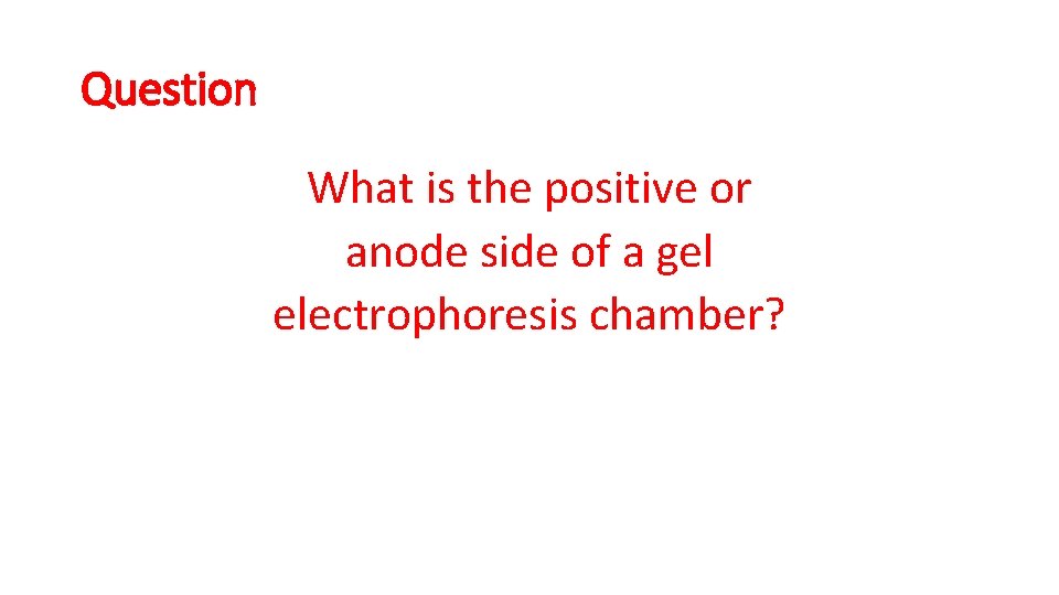 Question What is the positive or anode side of a gel electrophoresis chamber? 