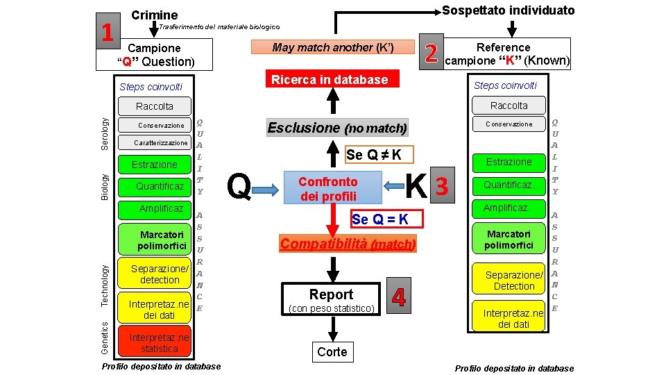 1 Sospettato individuato Crimine Trasferimento del materiale biologico 2 May match another (K’) Campione
