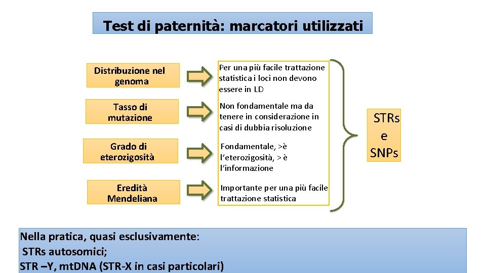 Test di paternità: marcatori utilizzati Distribuzione nel genoma Tasso di mutazione Grado di eterozigosità
