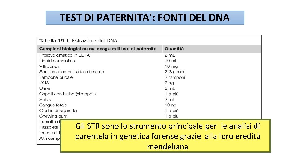 TEST DI PATERNITA’: FONTI DEL DNA Gli STR sono lo strumento principale per le