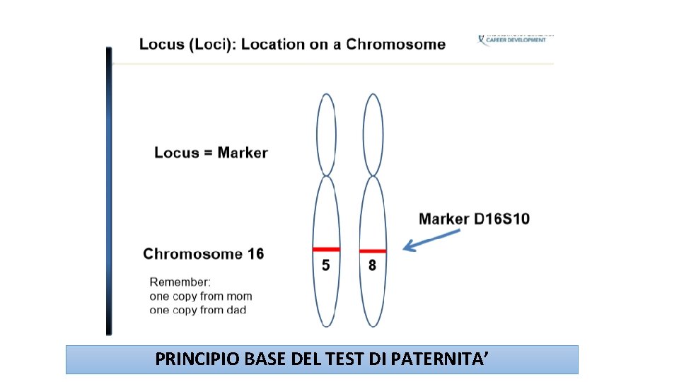PRINCIPIO BASE DEL TEST DI PATERNITA’ 