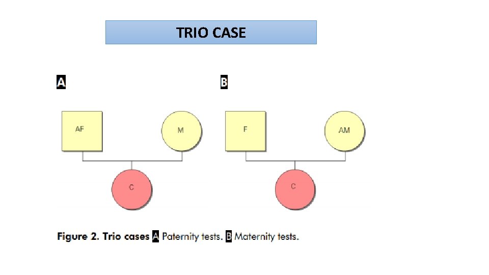 TRIO CASE 