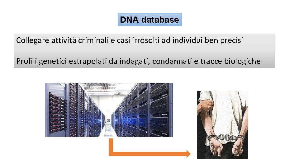 DNA database Collegare attività criminali e casi irrosolti ad individui ben precisi Profili genetici