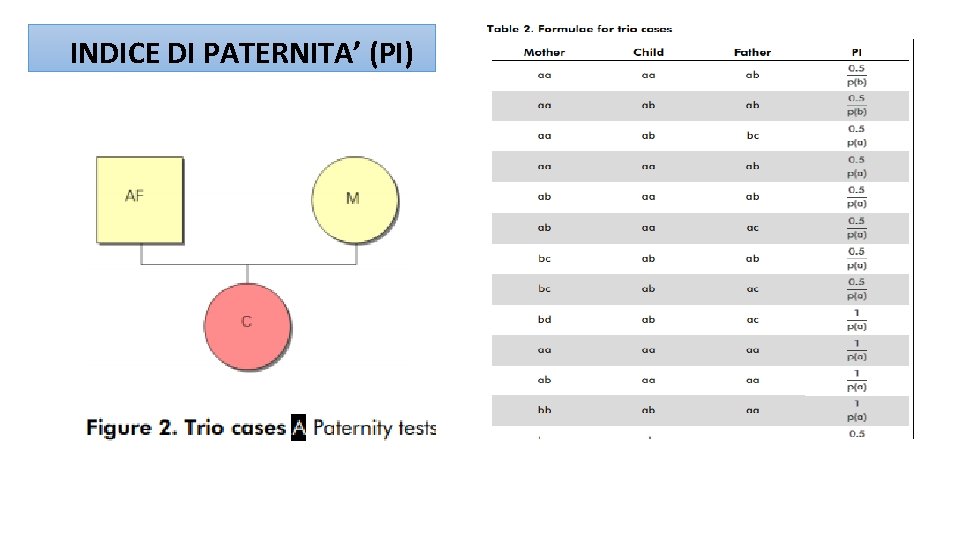 INDICE DI PATERNITA’ (PI) 