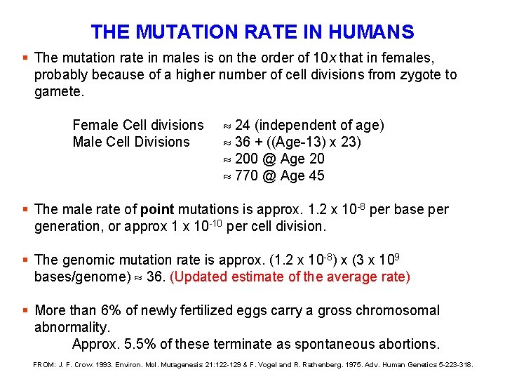 THE MUTATION RATE IN HUMANS § The mutation rate in males is on the