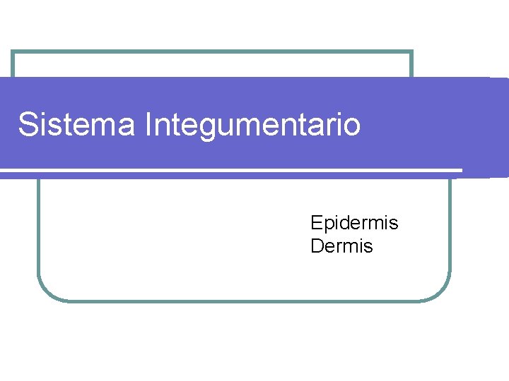 Sistema Integumentario Epidermis Dermis 