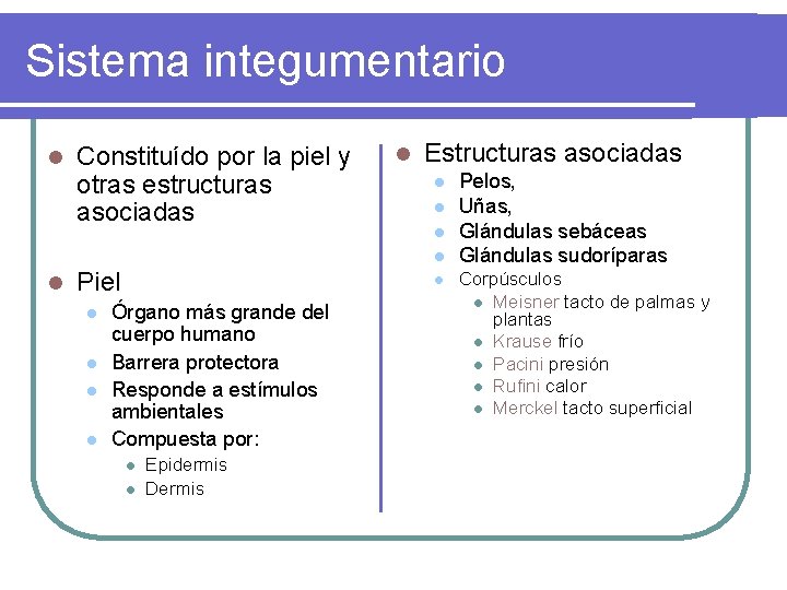 Sistema integumentario l Constituído por la piel y otras estructuras asociadas l Estructuras asociadas