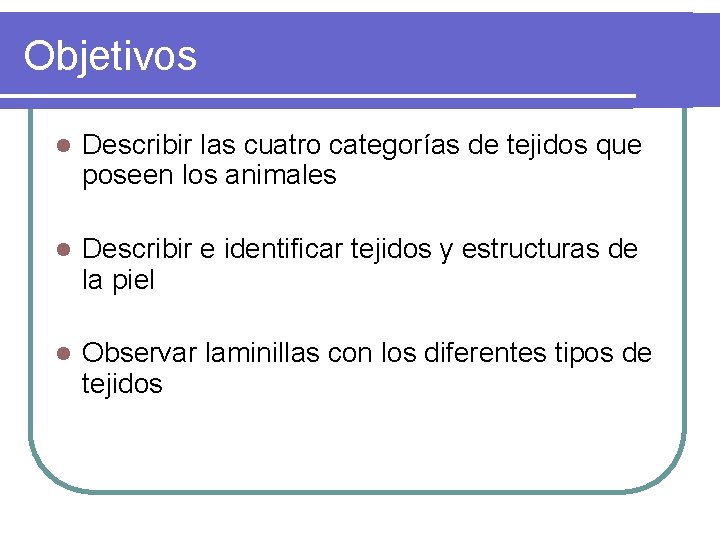 Objetivos l Describir las cuatro categorías de tejidos que poseen los animales l Describir