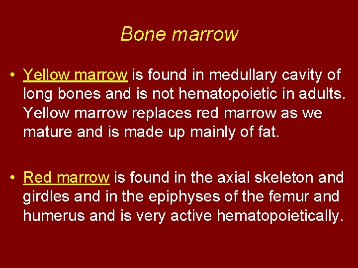Bone marrow • Yellow marrow is found in medullary cavity of long bones and