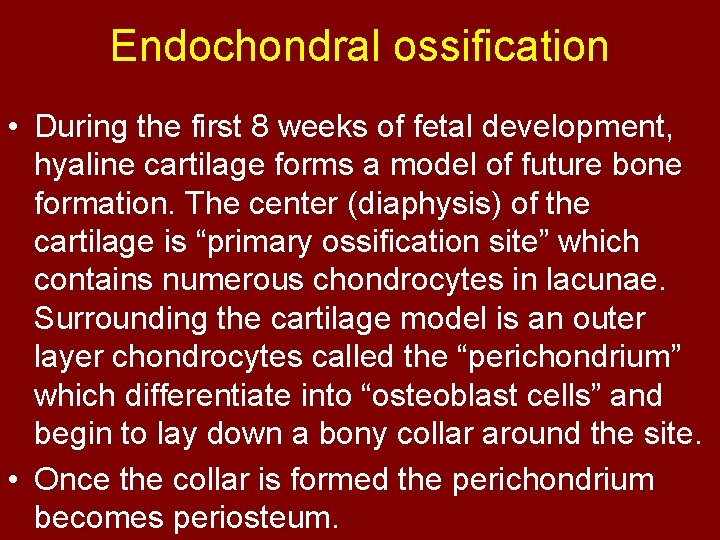 Endochondral ossification • During the first 8 weeks of fetal development, hyaline cartilage forms