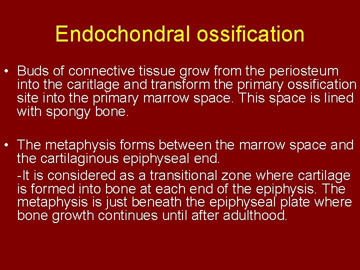 Endochondral ossification • Buds of connective tissue grow from the periosteum into the caritlage