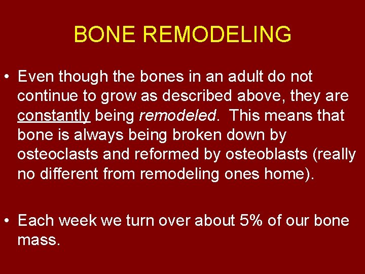 BONE REMODELING • Even though the bones in an adult do not continue to