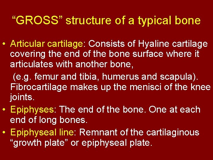 “GROSS” structure of a typical bone • Articular cartilage: Consists of Hyaline cartilage covering