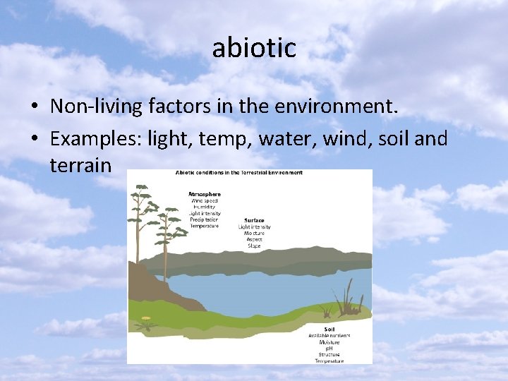 abiotic • Non-living factors in the environment. • Examples: light, temp, water, wind, soil