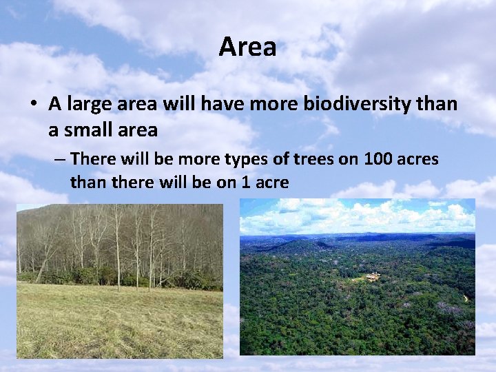Area • A large area will have more biodiversity than a small area –