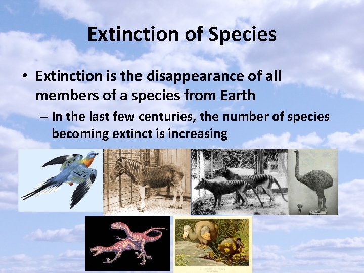 Extinction of Species • Extinction is the disappearance of all members of a species
