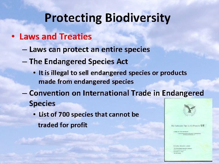 Protecting Biodiversity • Laws and Treaties – Laws can protect an entire species –
