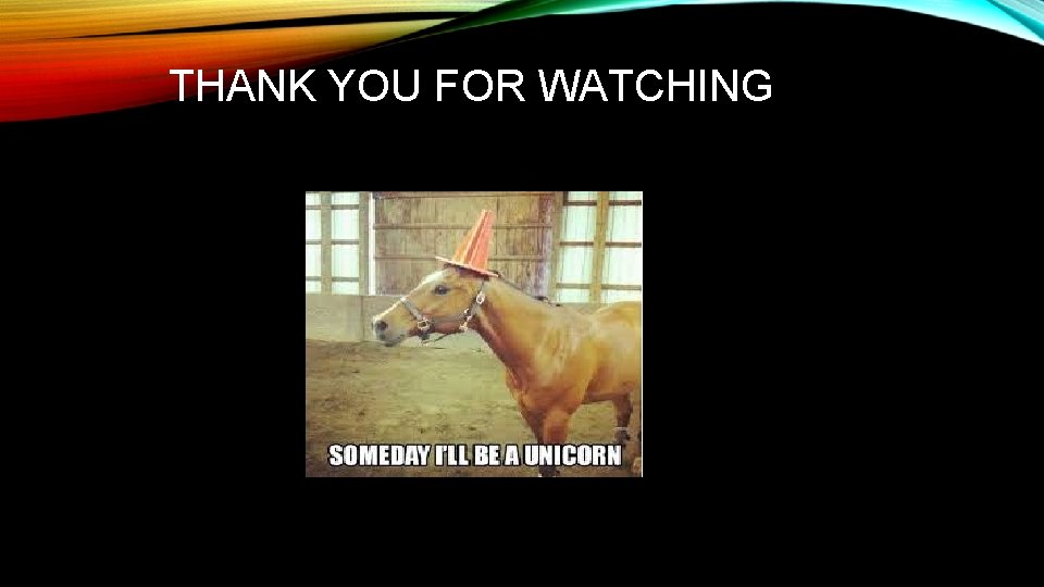 HORSE ECOSYSTEM By Lilly DEFINITION OF A BIOME