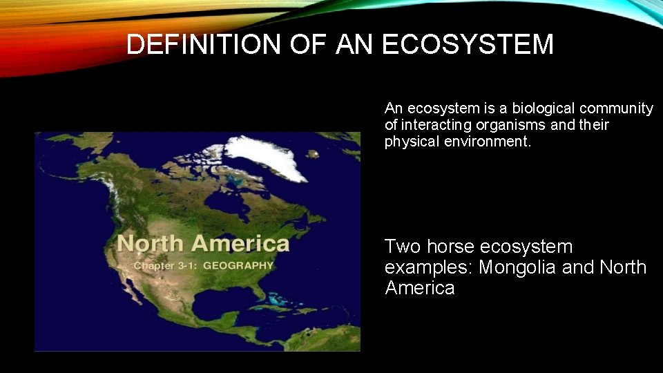 HORSE ECOSYSTEM By Lilly DEFINITION OF A BIOME