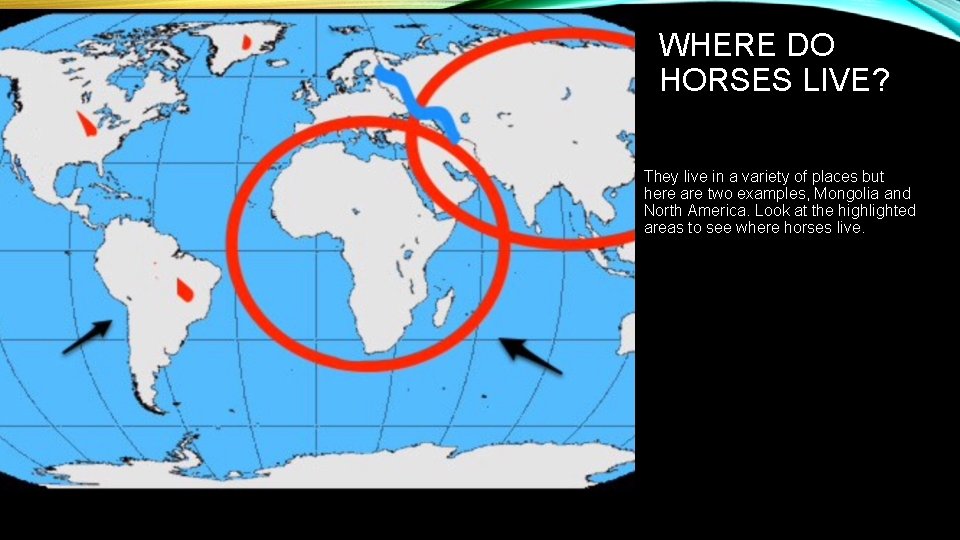WHERE DO HORSES LIVE? They live in a variety of places but here are