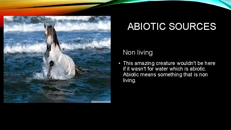 ABIOTIC SOURCES Non living • This amazing creature wouldn't be here if it wasn't