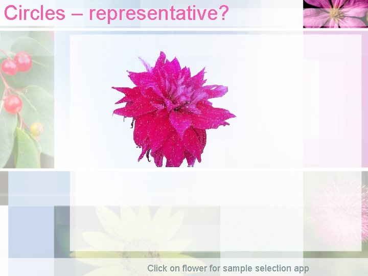 Circles – representative? Click on flower for sample selection app 