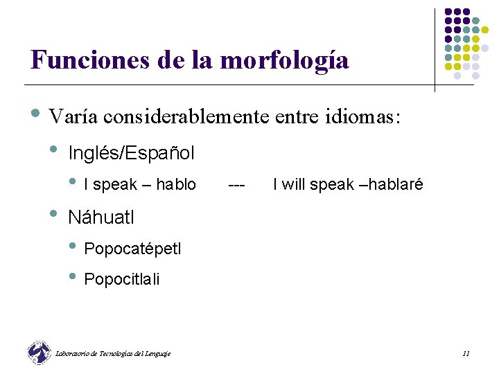Funciones de la morfología • Varía considerablemente entre idiomas: • Inglés/Español • I speak