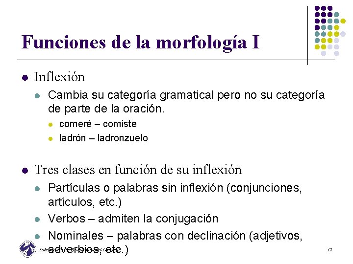 Funciones de la morfología I l Inflexión l Cambia su categoría gramatical pero no