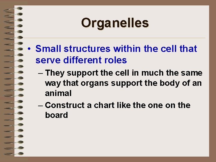 Organelles • Small structures within the cell that serve different roles – They support