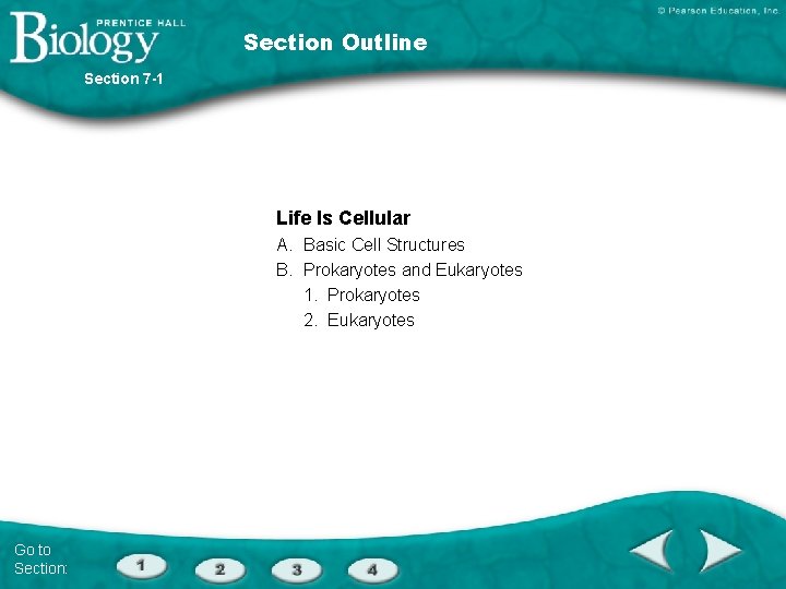 Section Outline Section 7 -1 Life Is Cellular A. Basic Cell Structures B. Prokaryotes