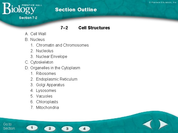 Section Outline Section 7 -2 7– 2 Cell Structures A. Cell Wall B. Nucleus