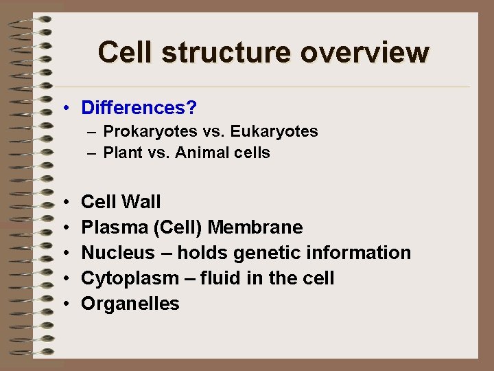 Cell structure overview • Differences? – Prokaryotes vs. Eukaryotes – Plant vs. Animal cells
