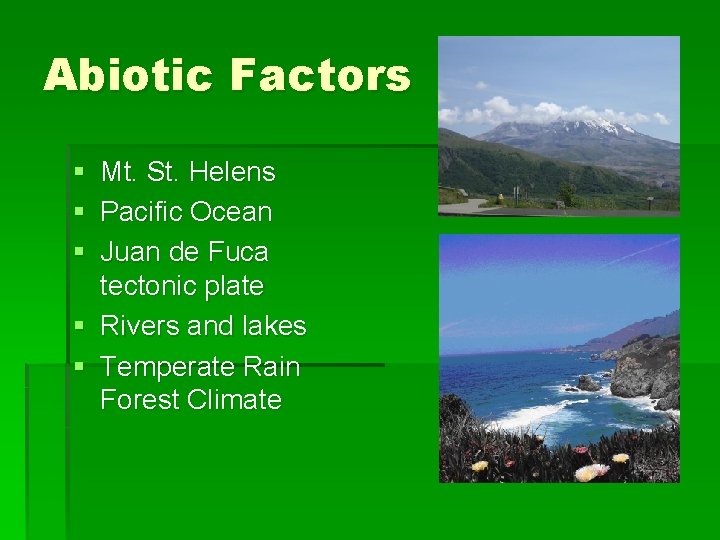 Abiotic Factors § Mt. St. Helens § Pacific Ocean § Juan de Fuca tectonic