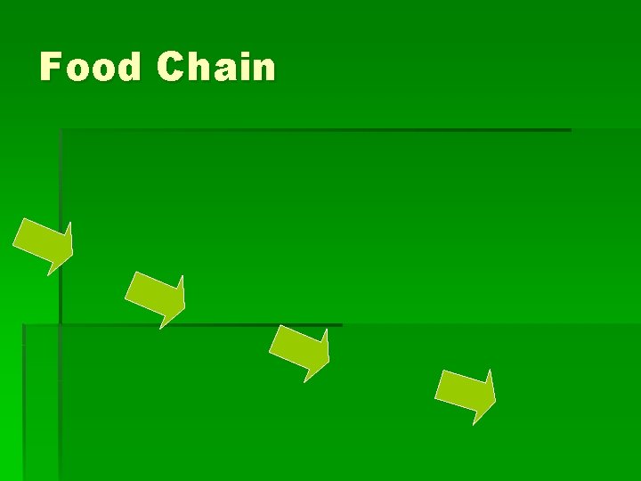 Food Chain 