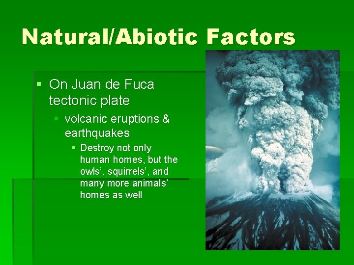Natural/Abiotic Factors § On Juan de Fuca tectonic plate § volcanic eruptions & earthquakes